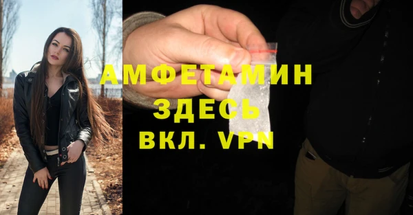 твердый Михайлов