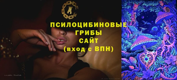 марки lsd Абаза