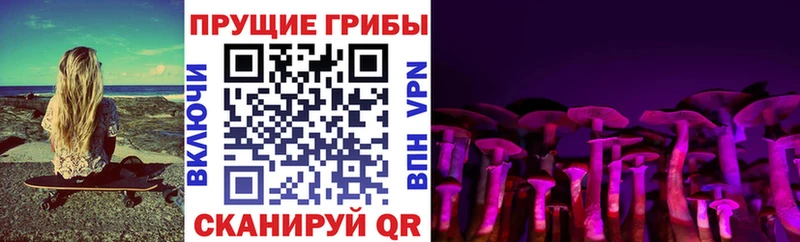 Псилоцибиновые грибы прущие грибы продажа наркотиков блэк спрут shop официальный сайт Алексеевка